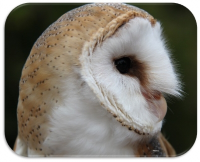 Não seja perfeito, seja notável